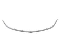 BLIC 6502-07-5053992P Trim / Protezione Striscia, Griglia Del Radiatore per Opel