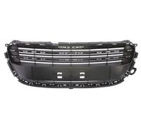 BLIC 6502-07-5527990Q Griglia radiatore adatto per PEUGEOT 508 SW I (8E)