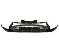 BLIC 6502-07-6047910P Griglia radiatore