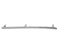 BLIC 6502-07-6740996P Modanatura decorativa / protettiva, Griglia radiatore