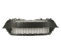 BLIC 6502-07-8140910HP Griglia paraurti