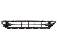 BLIC 6502-07-9058911P Griglia radiatore