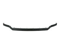 BLIC 6502-07-9564996P Mostrina, Griglia radiatore