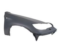 BLIC 6504-04-0099314P Parafango con foro per indicatore direzione con foro/fori