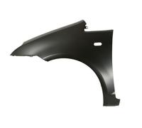 Parafango anteriore Sx con foro per indicatore direzione 6504-04-2534311P BLIC
