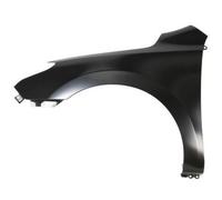 BLIC 6504-04-3135313P Parafango per HYUNDAI i30 (FD) i30 CW (FD) Anteriore Sx