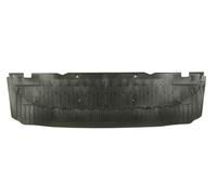 BLIC 6601-02-0029881P Spoiler anteriore