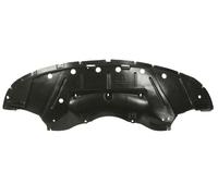 BLIC 6601-02-0932880P Spoiler anteriore