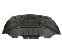 BLIC 6601-02-2586881P Mostrina, Griglia radiatore