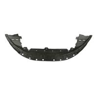 BLIC 6601-02-9021881P Spoiler anteriore