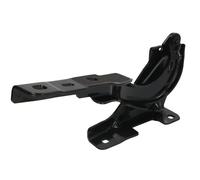 Cofano - Parti BLIC 6802-00-0037452P