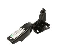 BLIC 6802-00-3216451P Cerniera, Cofano motore