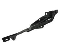 BLIC 6802-00-3255456P Cerniera, Cofano motore