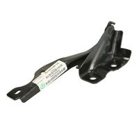 BLIC 6802-00-3479451CP Cerniera, Cofano motore