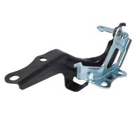 Elemento, cofano motore BLIC 6802-00-8115451P