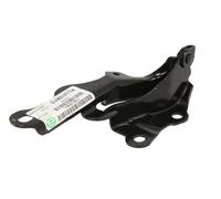 Cofano - Parti BLIC 6802-00-8136451P
