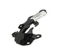 Cofano - Parti BLIC 6802-00-8136452P