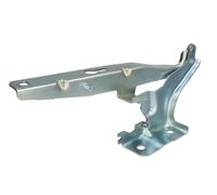 Elemento, cofano motore BLIC 6802-00-9508451P