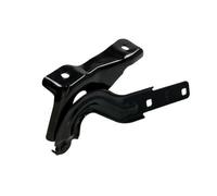 BLIC 6802-00-9515452P Cerniera, Cofano motore per VW