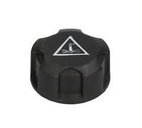 BLIC 6904-09-054470P Tappo, serbatoio refrigerante per BMW,CITROËN,DS,FIAT,LANCI