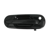 Maniglia della portiera BLIC 6010-12-028402P