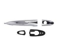 Maniglia della portiera BLIC 6010-23-012401P