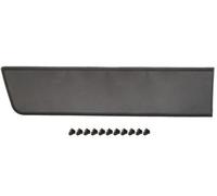 BLIC Modanatura decorativa / protettiva Fiancata posteriore Dx 5703-04-2097580P