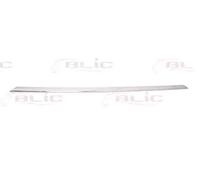 BLIC Modanatura paraurti anteriore centro 5513-00-0063926P