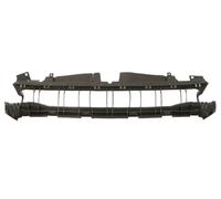 BLIC Träger Paraurti Anteriore Rinforzo Front For: FORD FOCUS IV 04.18-09.21