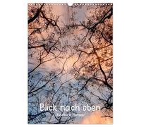 Blick nach oben (Wandkalender 2026 DIN A3 hoch), CALVENDO Monatskalender: Ein Blick nach oben in die Baumkronen