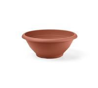 Blim lineare Flower Bowl