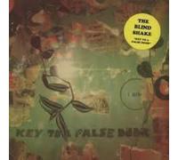 Blind Shake - Key To A False Door