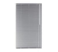 Blindecor 2101 Tenda Veneziana in Alluminio, Metallo, Argento, 90X250