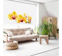 Blindecor Digitale | Tenda avvolgibile traslucida stampata | Famiglia Zen| Modello Z-YELLOWORCHID | 150 x 180 cm (larghezza per altezza) Dimensioni del tessuto 146 x 175 cm | Tende per finestre