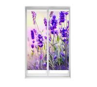 Blindecor Duo Relax | Confezione di 2 tende avvolgibili traslucide senza foratura, Easy Fix stampa digitale, modello Lavanda | 55 x 150 cm (larghezza per altezza), dimensioni del tessuto 52 x 145 cm