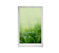 Blindecor Easy Tende oscuranti senza forature Stampe - Tenda oscurante con stampa digitale, silenziosa, 95 x 150 cm (larghezza per altezza). Dimensioni del tessuto: 92 x 145 cm. Tapparelle termiche