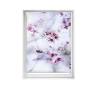 Blindecor Easy tende senza forare Stampe - Tenda traslucida con stampa digitale, calma, 110 x 150 cm (larghezza per altezza), dimensioni del tessuto 107 x 145 cm