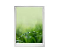 Blindecor Easy Tende senza forature Stampate - Tenda traslucida con stampa digitale, silenziosa, 100 x 150 cm (larghezza per altezza). Dimensioni del tessuto 97 x 145 cm