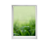 Blindecor Easy Tende senza forature Stampate - Tenda traslucida con stampa digitale, silenziosa, 110 x 150 cm (larghezza per altezza). Dimensioni del tessuto: 107 x 145 cm