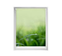Blindecor Easy Tende senza forature Stampate - Tenda traslucida con stampa digitale, silenziosa, 120 x 150 cm (larghezza per altezza). Dimensioni del tessuto: 117 x 145 cm