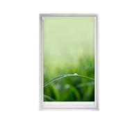 Blindecor Easy Tende senza forature Stampate - Tenda traslucida con stampa digitale, silenziosa, 90 x 150 cm (larghezza per altezza). Dimensioni del tessuto 87 x 145 cm