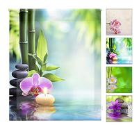 Blindecor Tenda avvolgibile Stampata Digitale traslucida Zen, Poliestere, W-Z-28223, 90An x 180Al cm