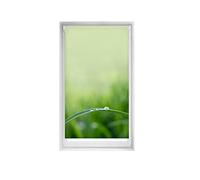 Blindecor Tenda con stampa Easyfix Relax, Quietud, 85 x 150 cm