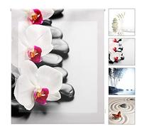 Blindecor W-Z-81465 - Tenda a rullo trasparente, stampa digitale, 130 x 180 cm, multicolore, bambù, 6x130x180 cm