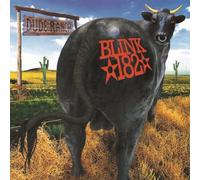 Dude Ranch (DVD) blink-182
