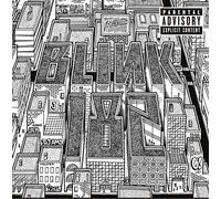Blink-182 Neighborhoods (Vinyl LP) 12" Album