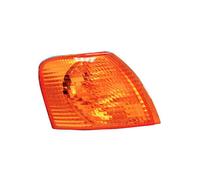 Blink Luci Indicatore Adatto A per VW Passat 97 3B 08/1996 - 10/2000 Anteriore