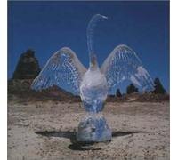 Blinker the Star - August Everywhere