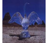 Blinker The Star - August Everywhere