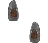 Blinkleuchten Destra Sinistra W16W Per Renault Master III Kasten FV EV HV UV